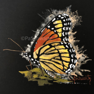 Minnesota Monarch