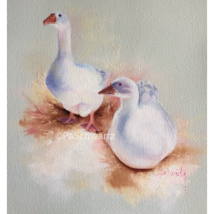 Lucy Goose